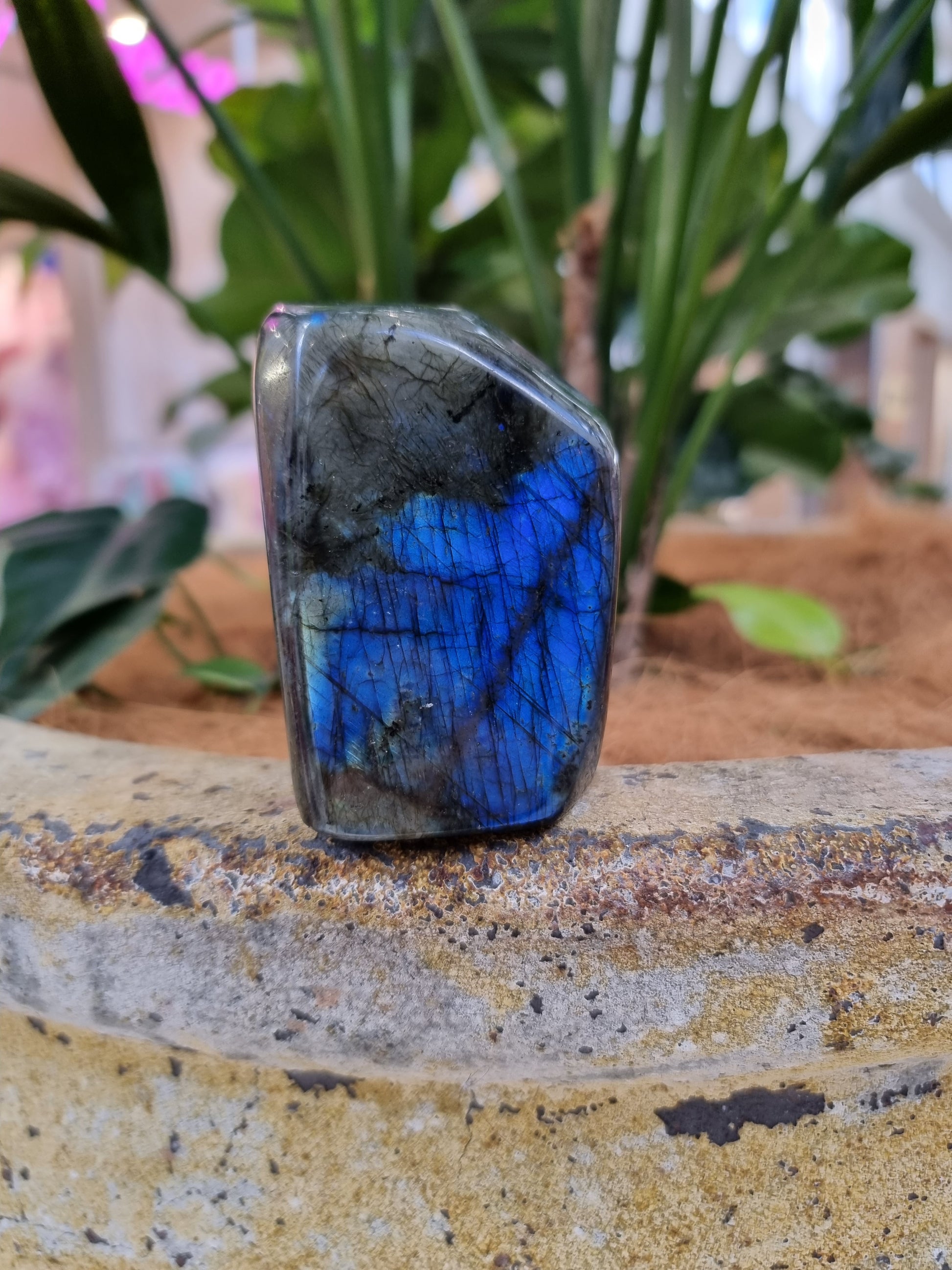 Labradorite freeform - Rivendell Shop