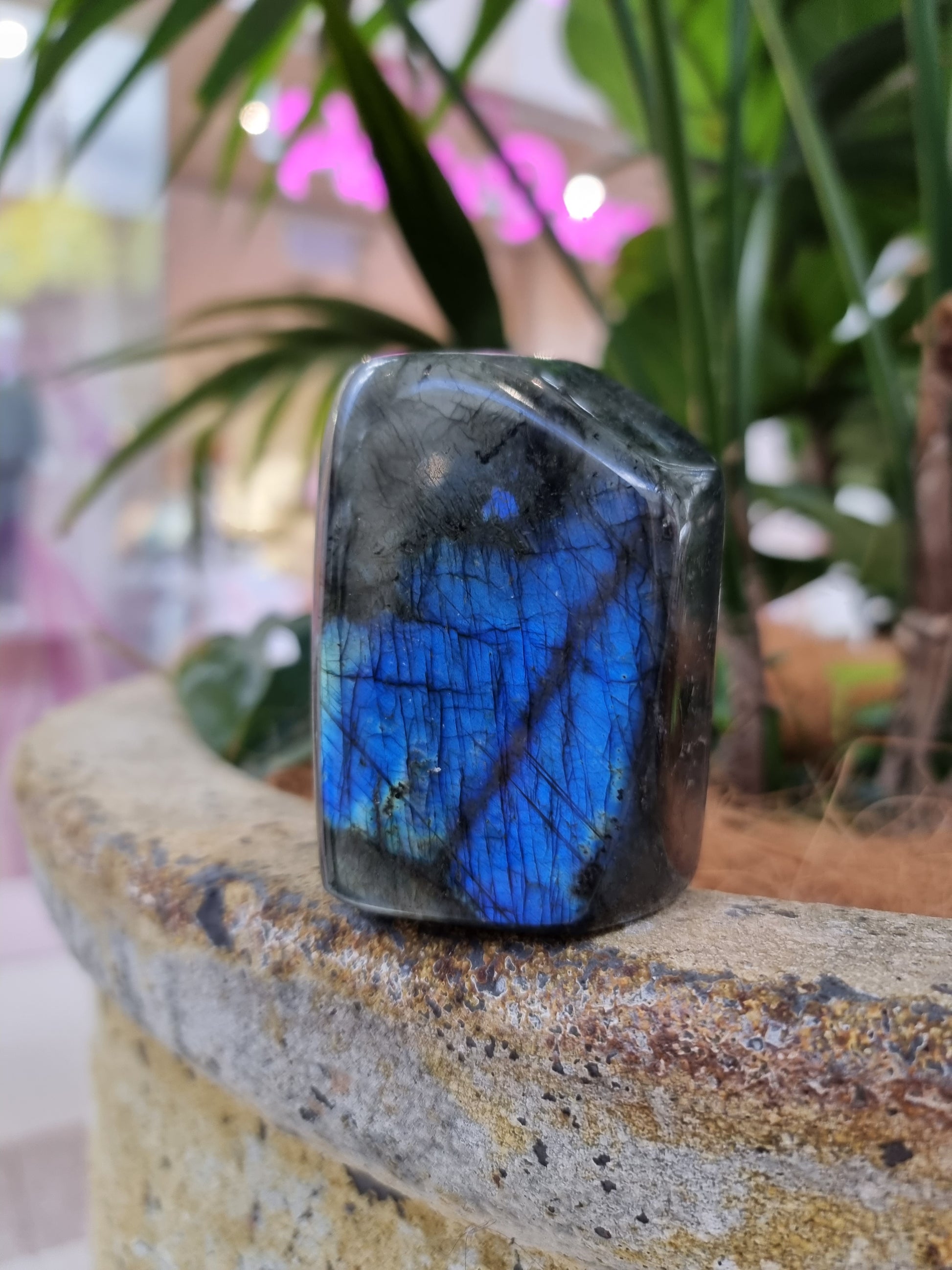 Labradorite freeform - Rivendell Shop