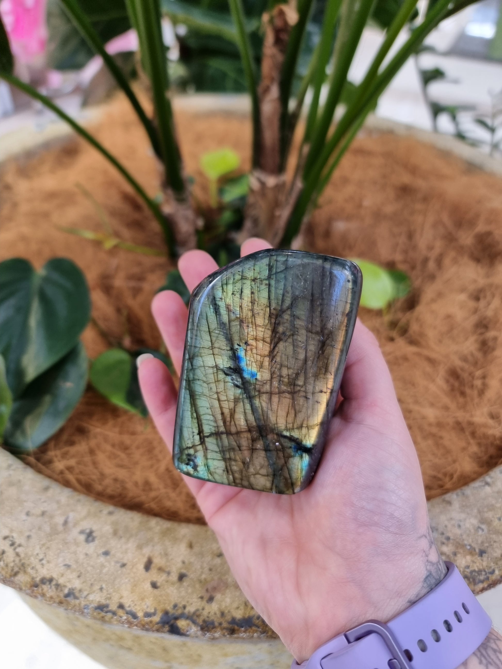 Labradorite freeform - Rivendell Shop