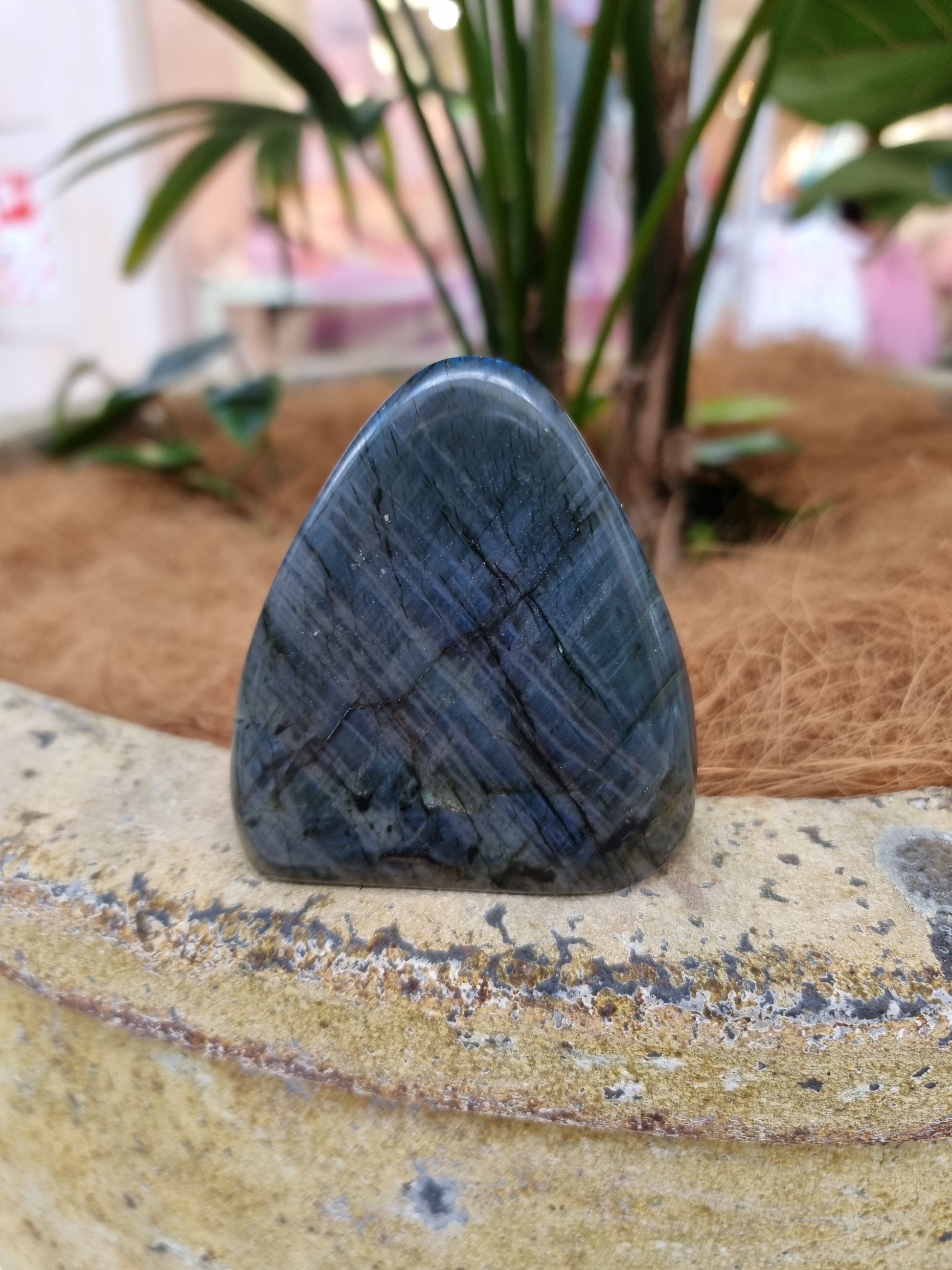 Labradorite freeform - Rivendell Shop