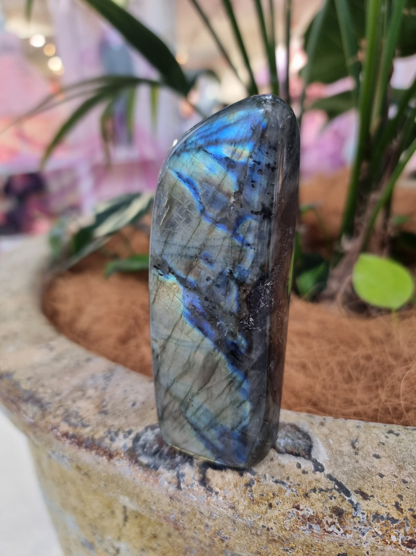 Labradorite freeform - Rivendell Shop