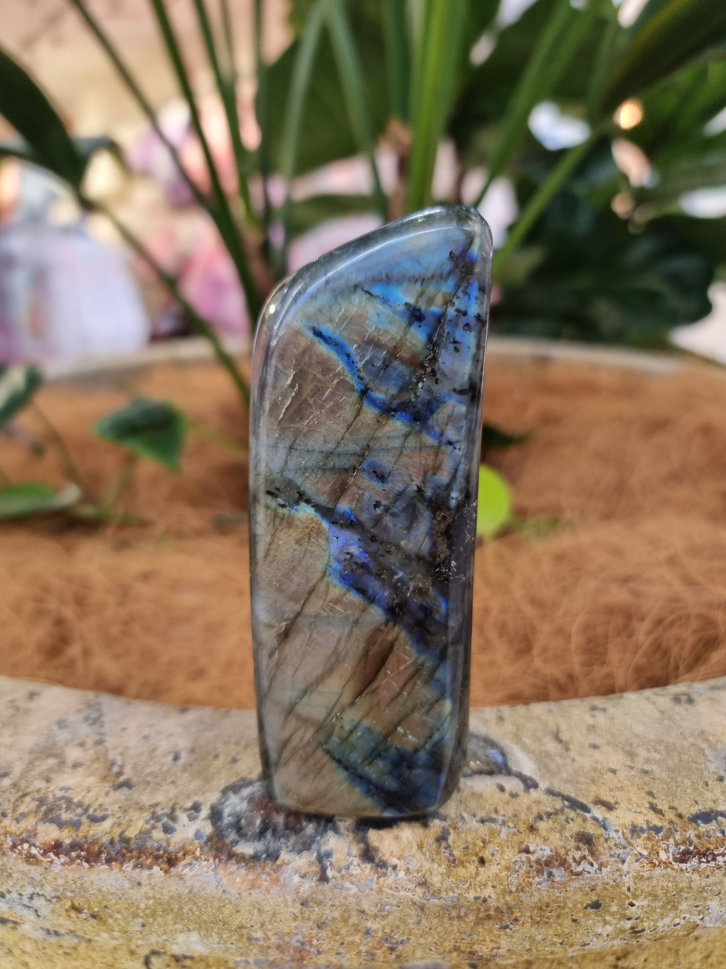 Labradorite freeform - Rivendell Shop