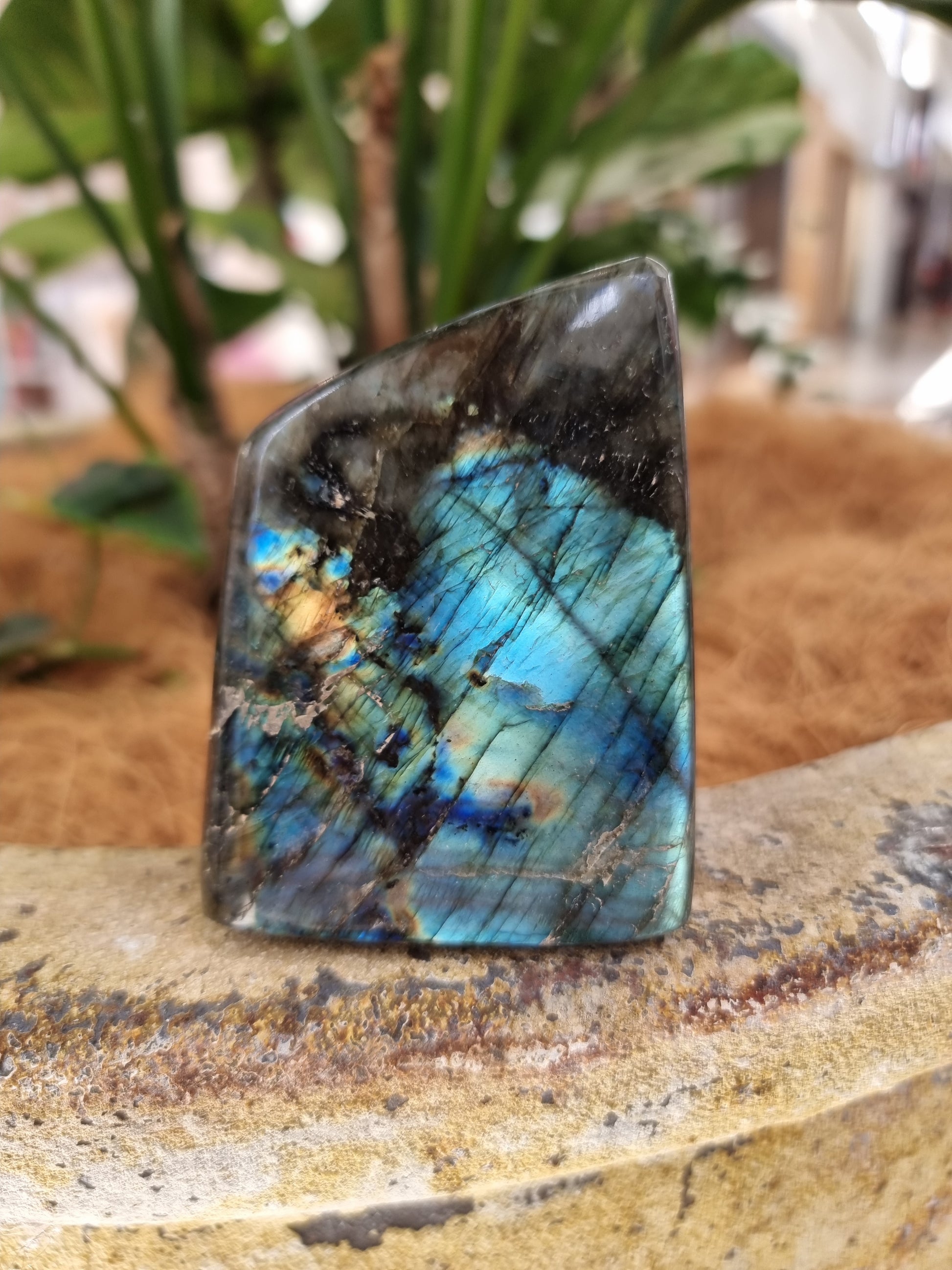 Labradorite freeform - Rivendell Shop