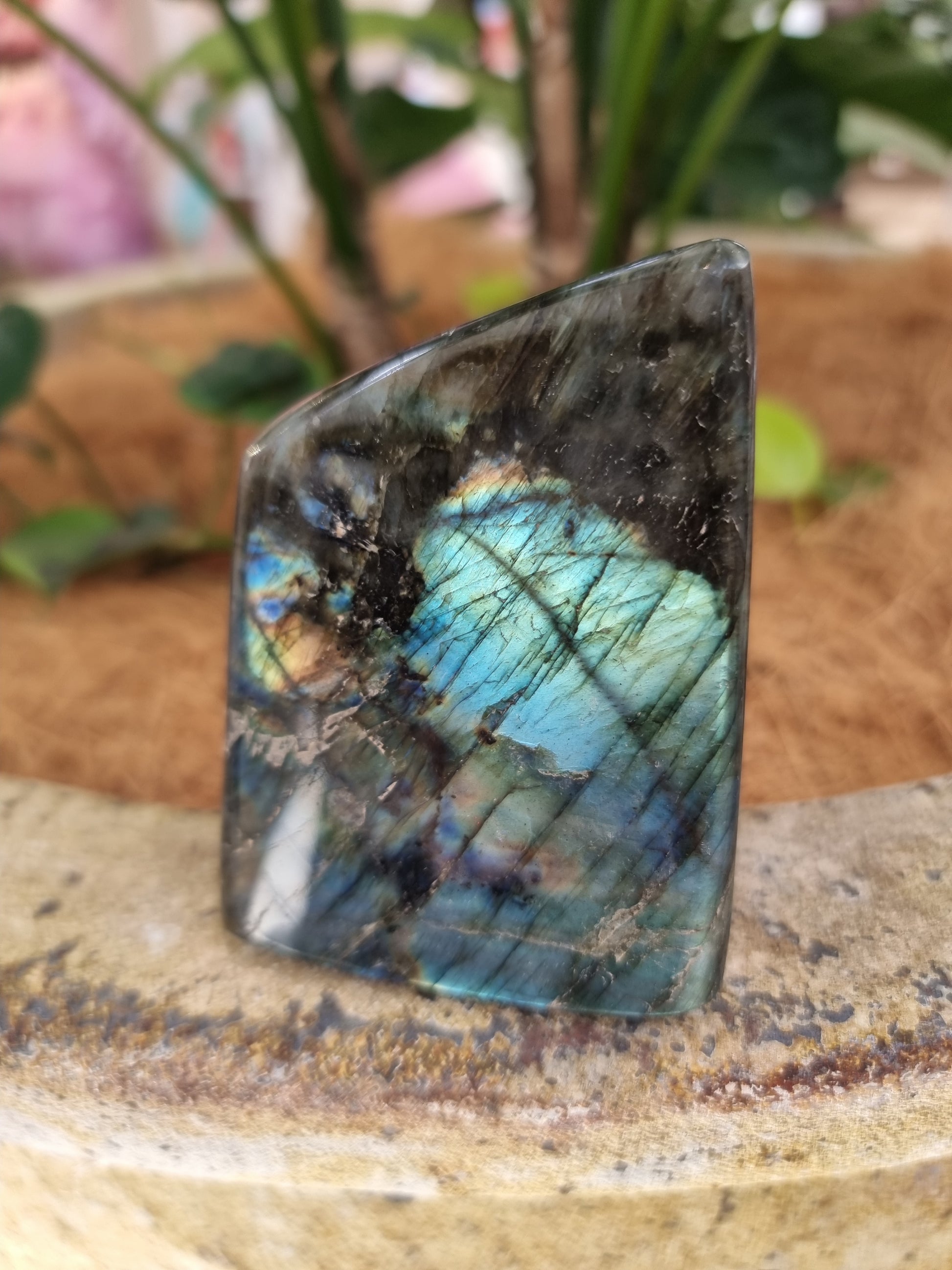 Labradorite freeform - Rivendell Shop