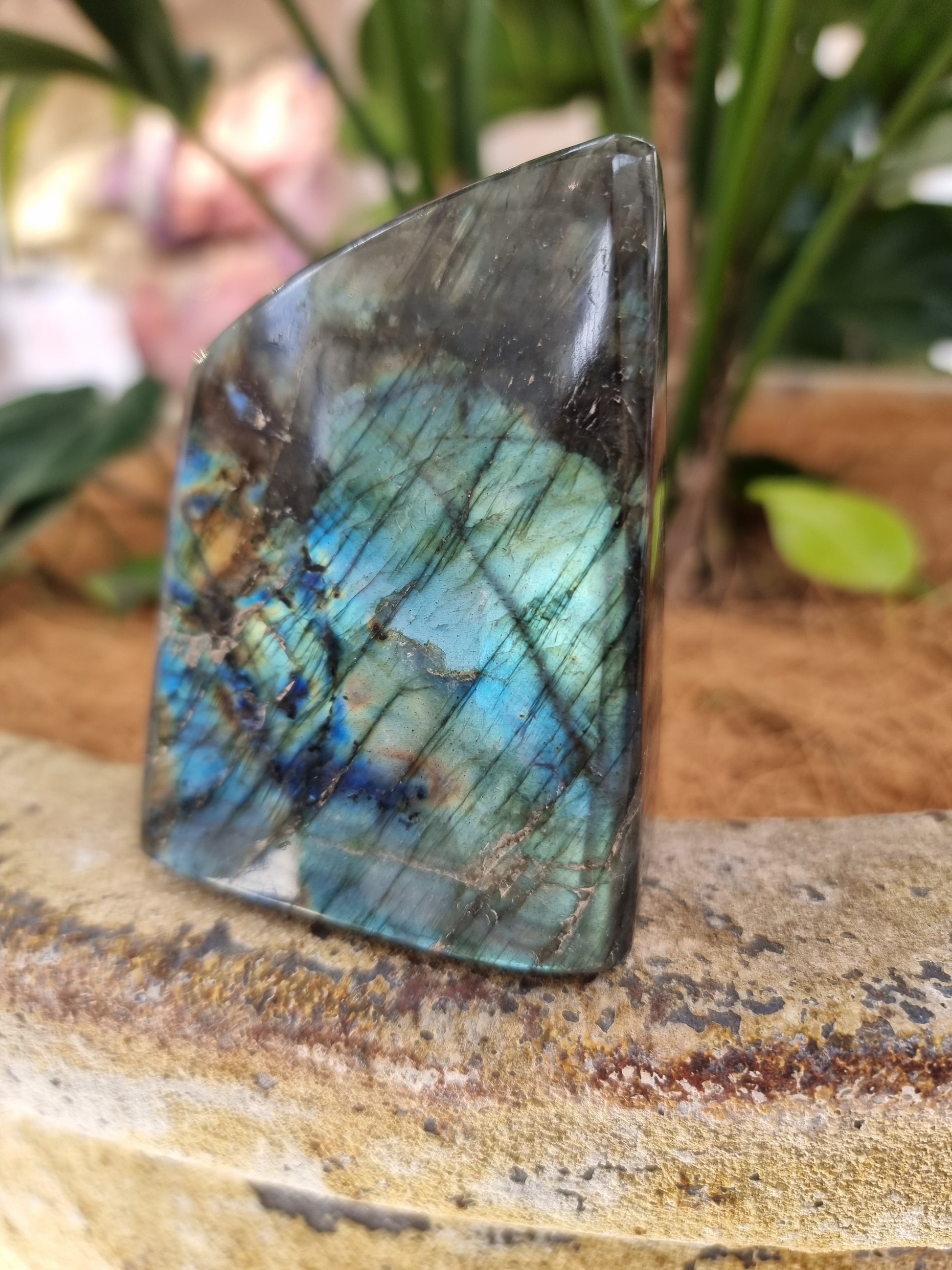 Labradorite freeform - Rivendell Shop