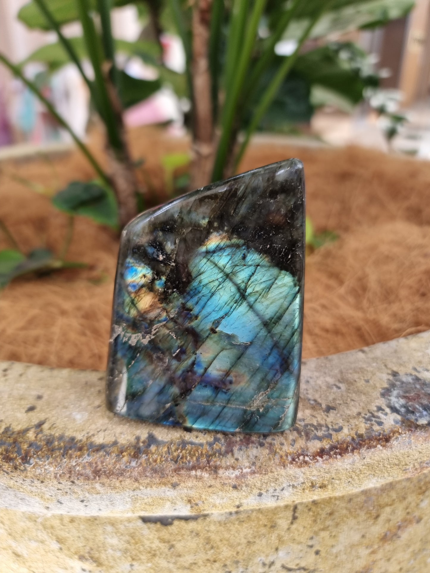 Labradorite freeform - Rivendell Shop