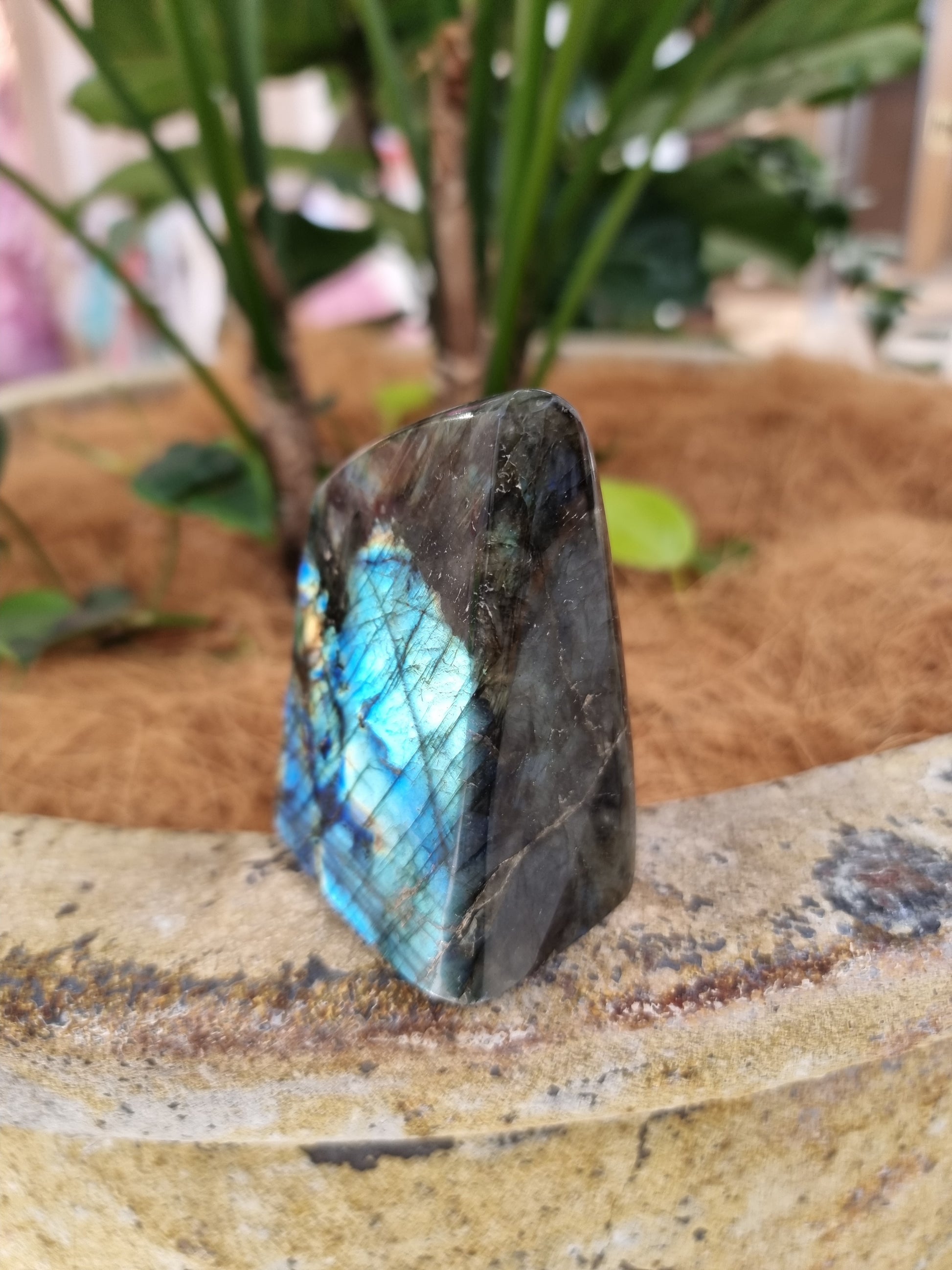 Labradorite freeform - Rivendell Shop