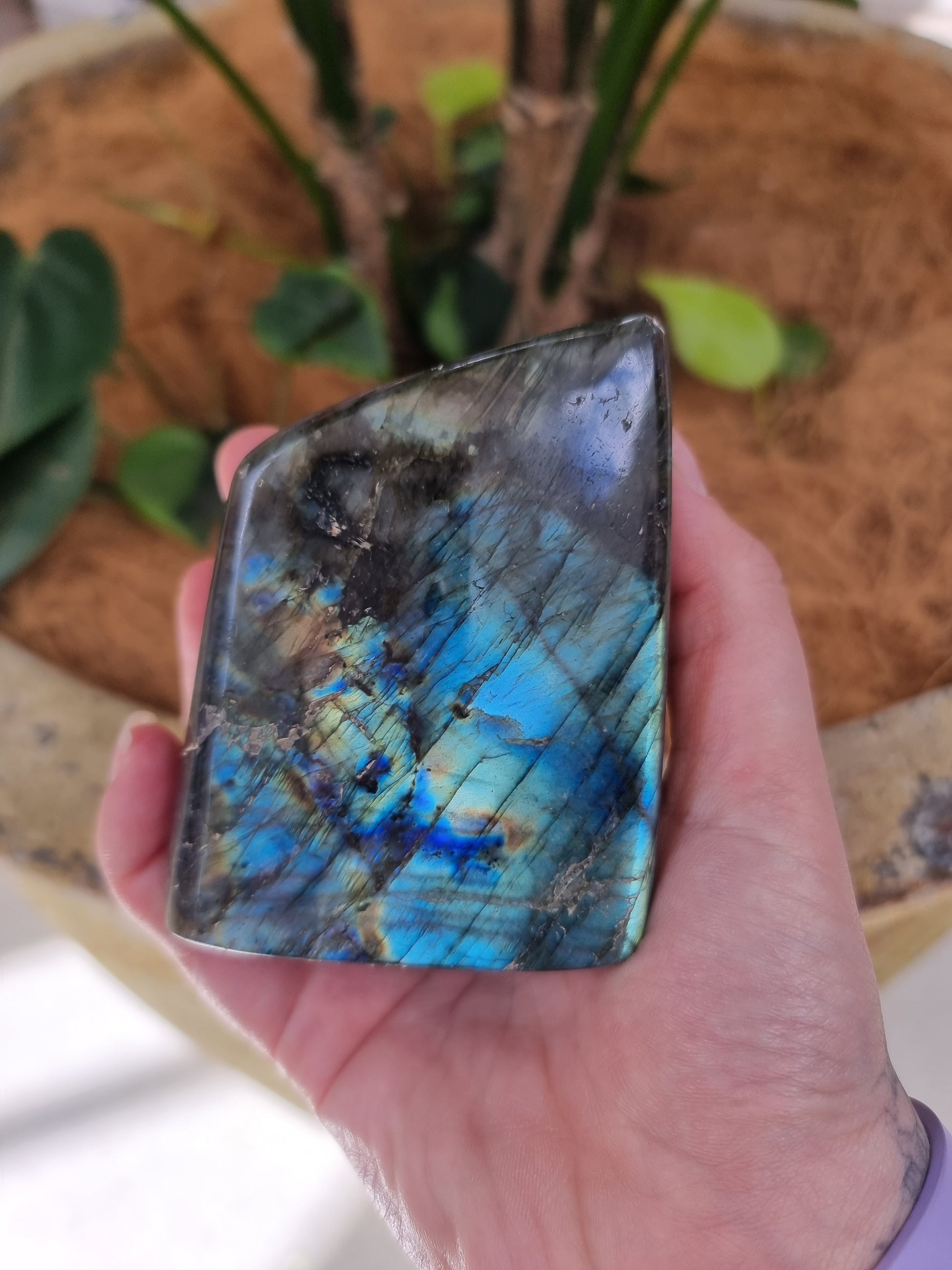 Labradorite freeform - Rivendell Shop