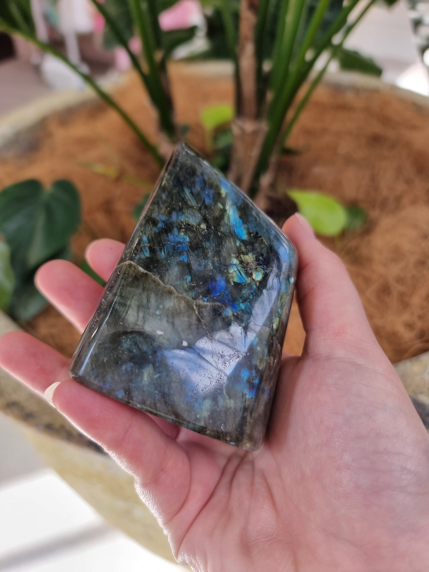 Labradorite freeform - Rivendell Shop