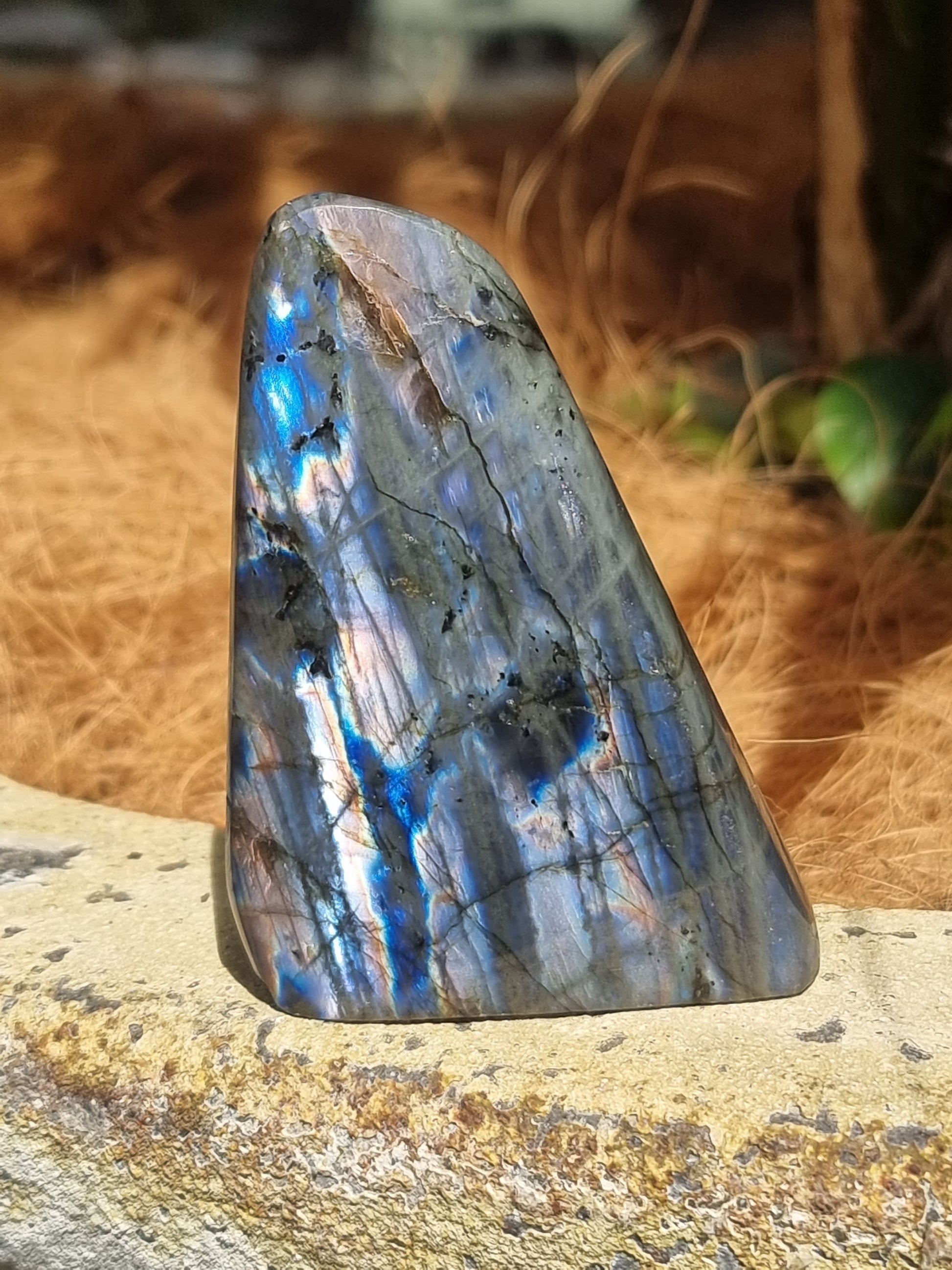 Labradorite freeform - Rivendell Shop