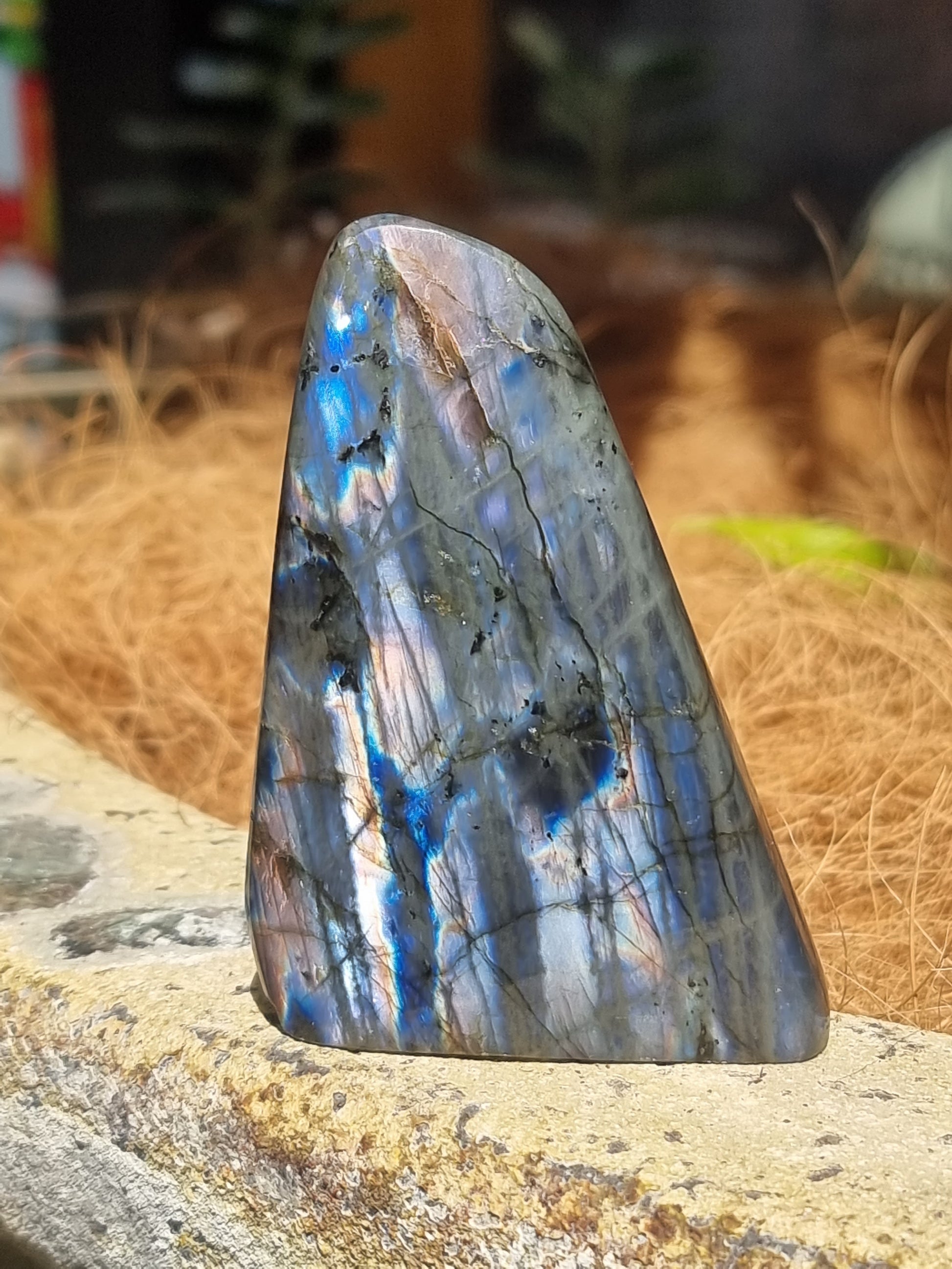 Labradorite freeform - Rivendell Shop