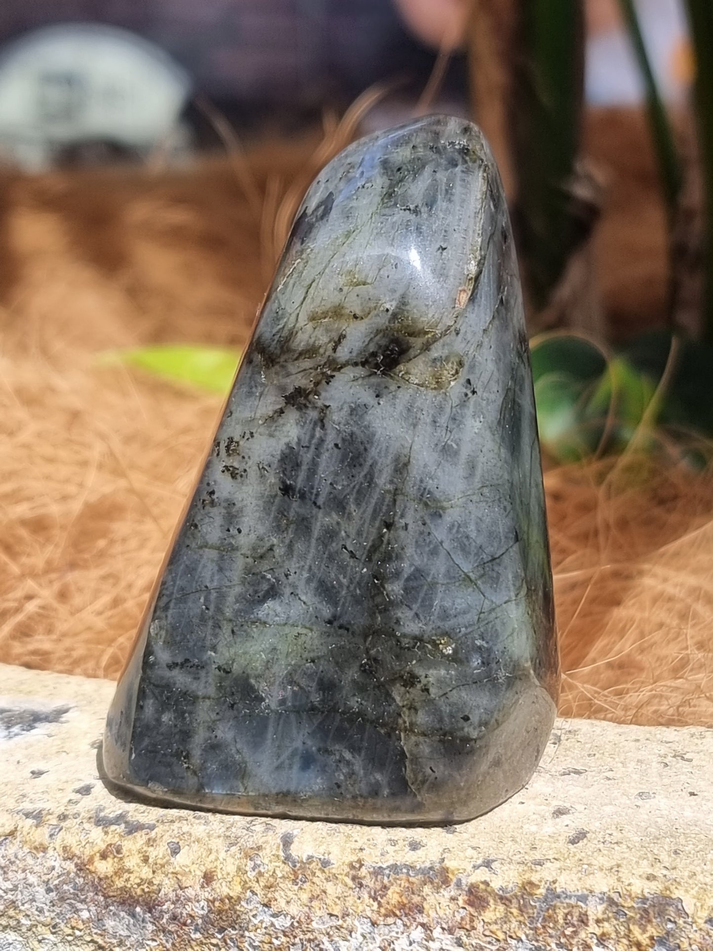 Labradorite freeform - Rivendell Shop