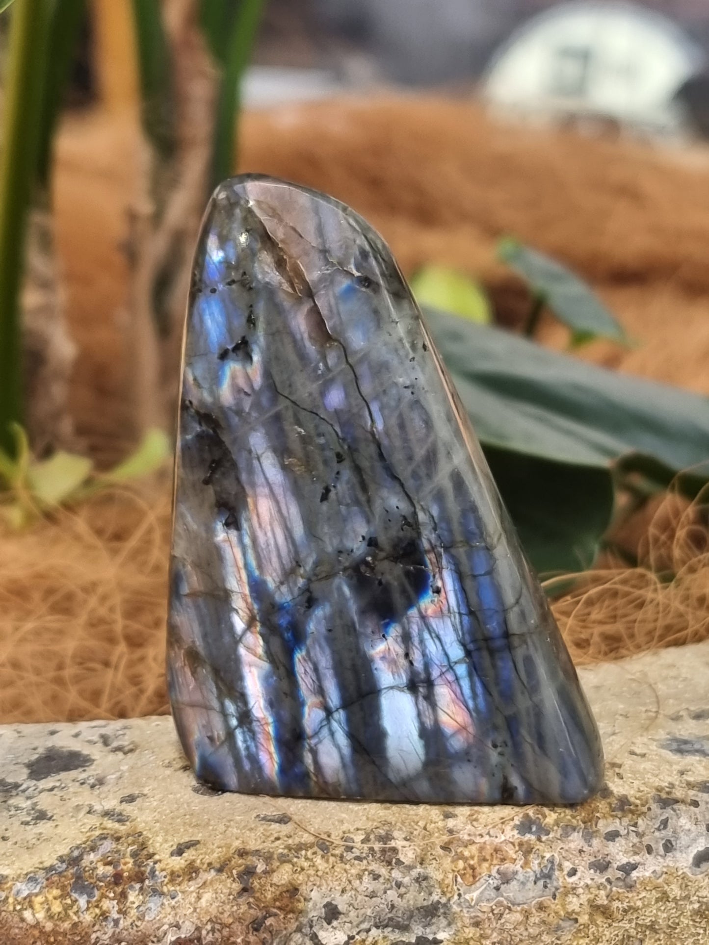 Labradorite freeform - Rivendell Shop