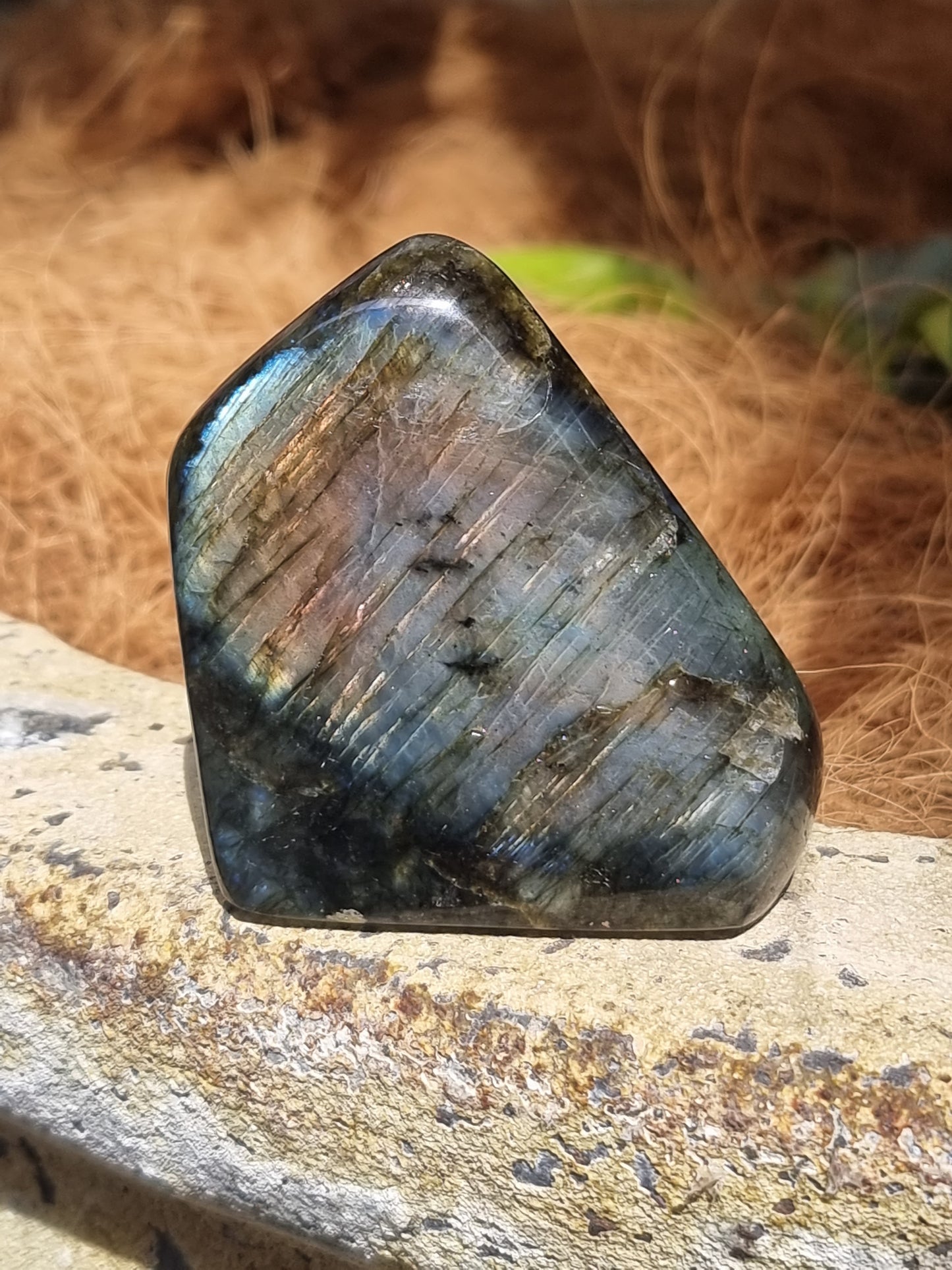 Labradorite freeform - Rivendell Shop