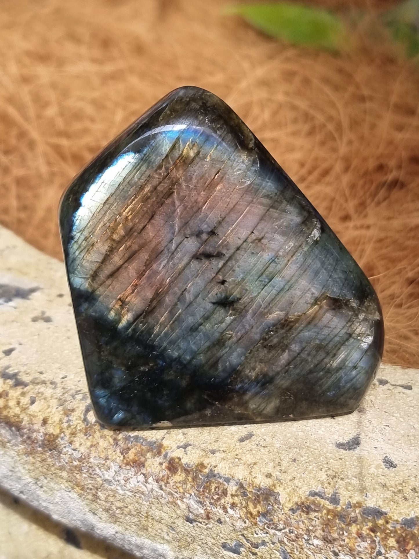 Labradorite freeform - Rivendell Shop