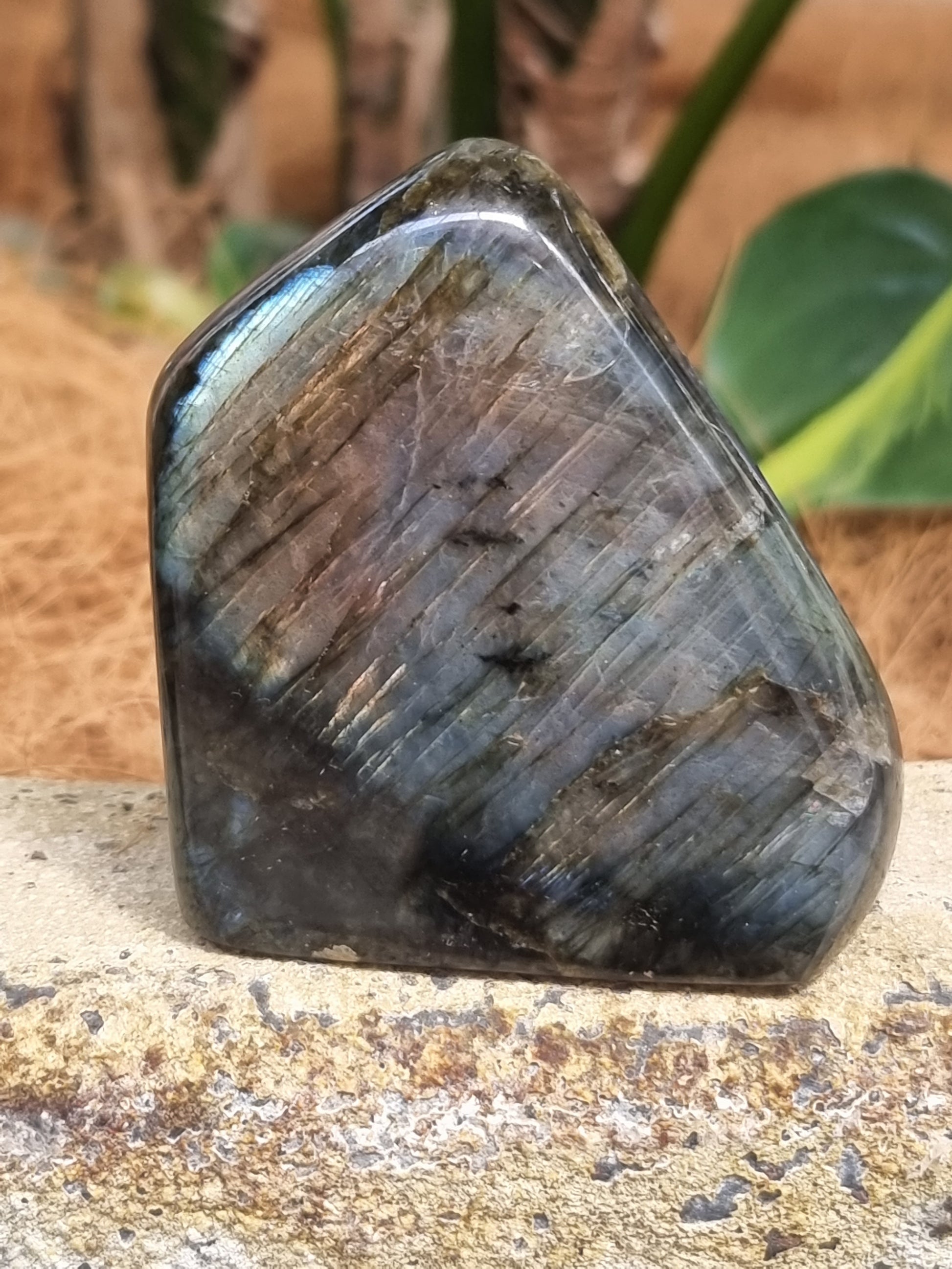 Labradorite freeform - Rivendell Shop