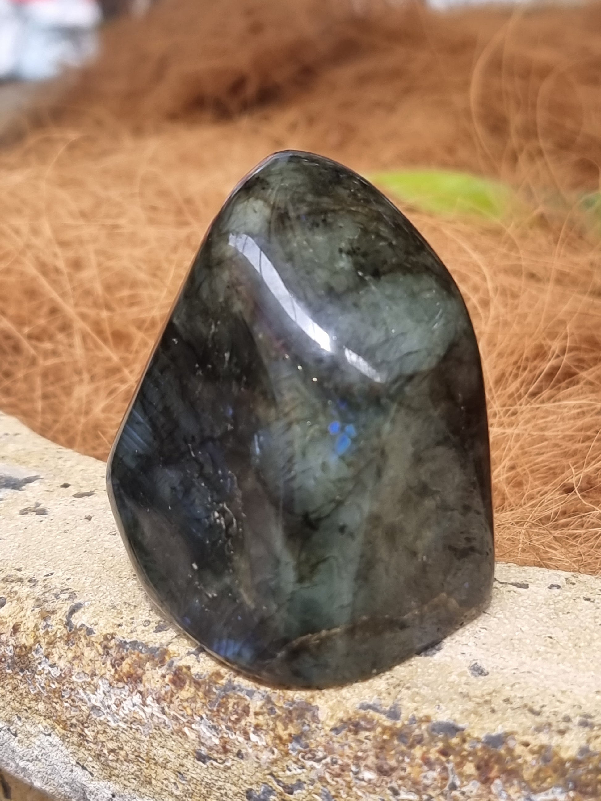 Labradorite freeform - Rivendell Shop