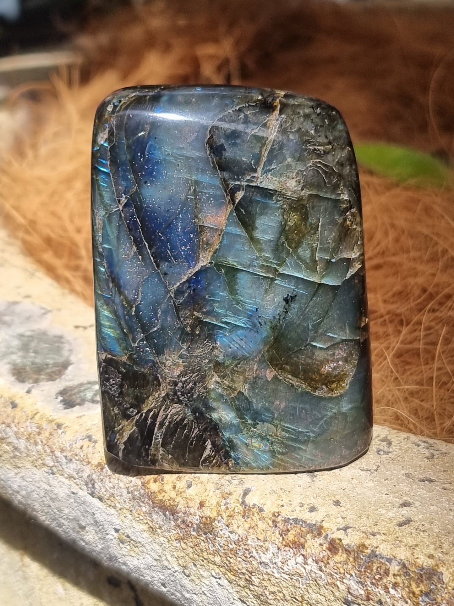 Labradorite freeform - Rivendell Shop