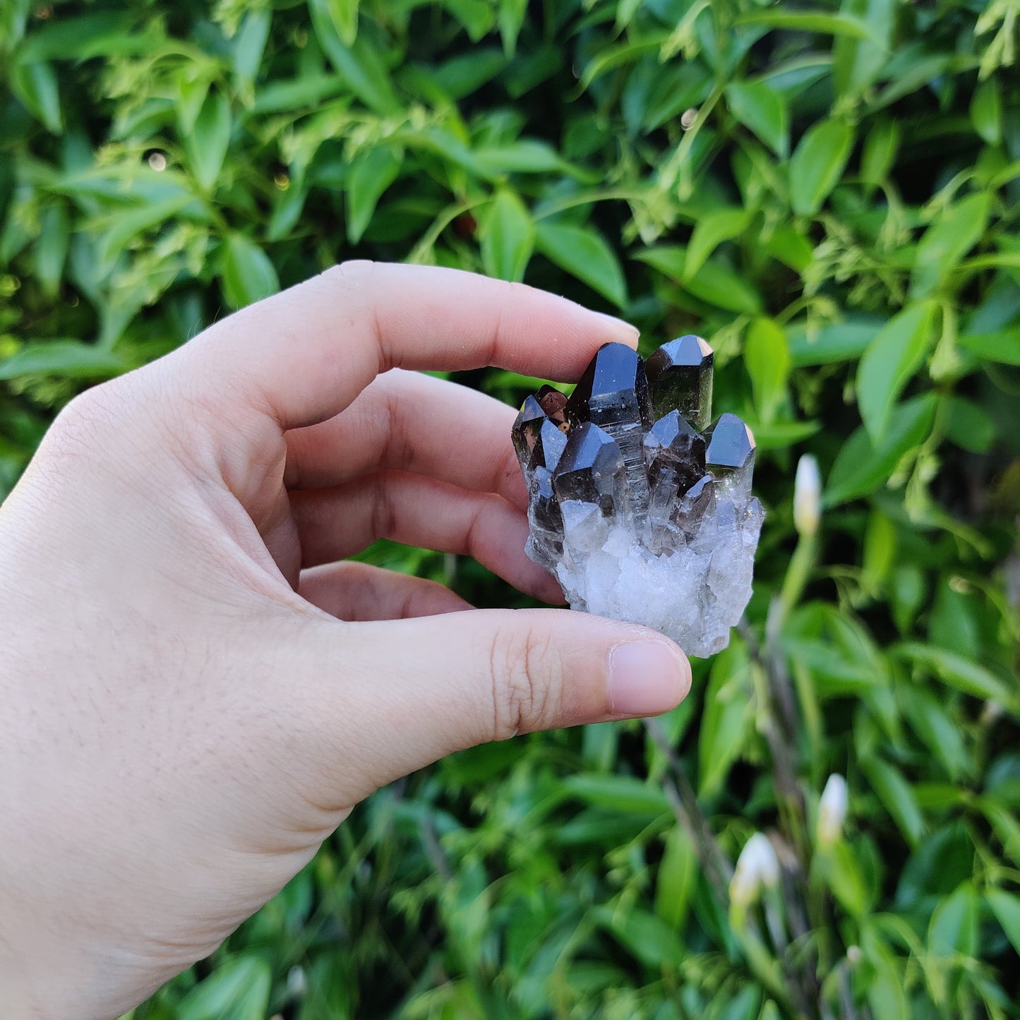 Smoky Quartz Cluster - Rivendell Shop