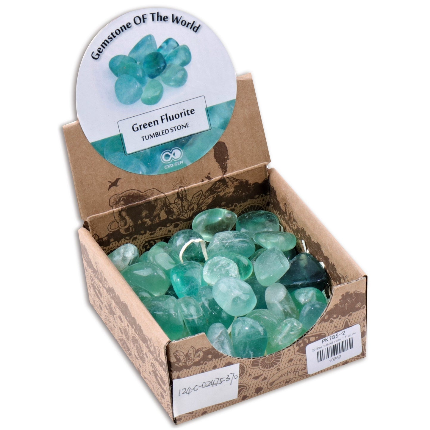 Green Fluorite Tumbled Crystal - Rivendell Shop