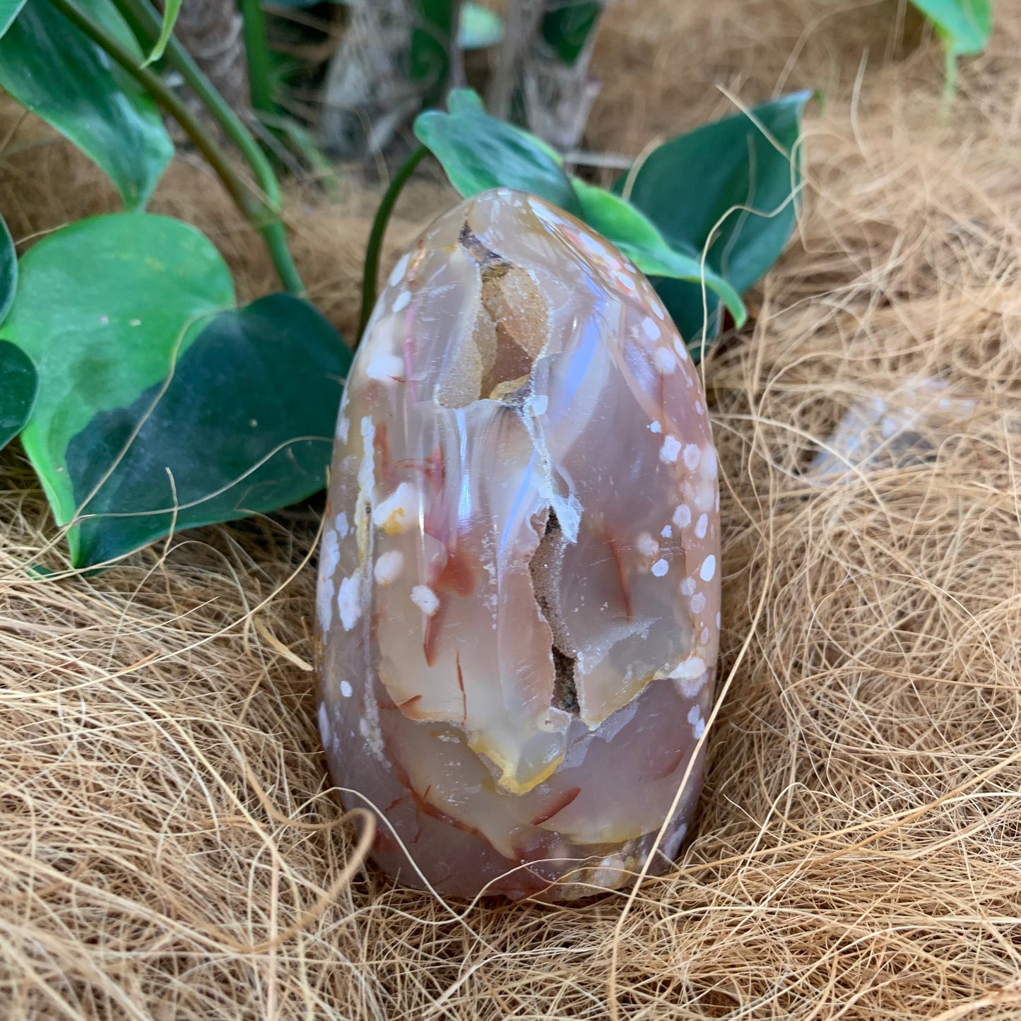 Flower Agate Freeform - Rivendell Shop