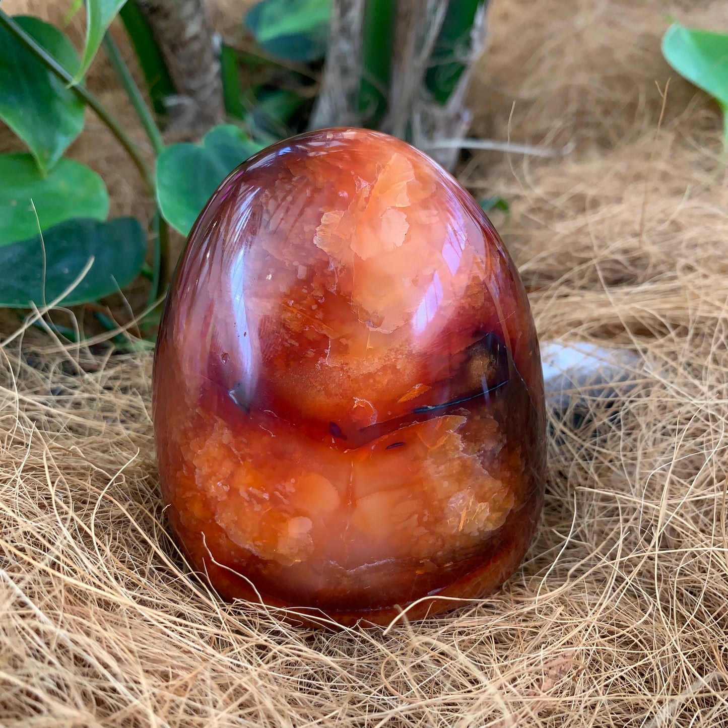 Carnelian Freeforms - Rivendell Shop