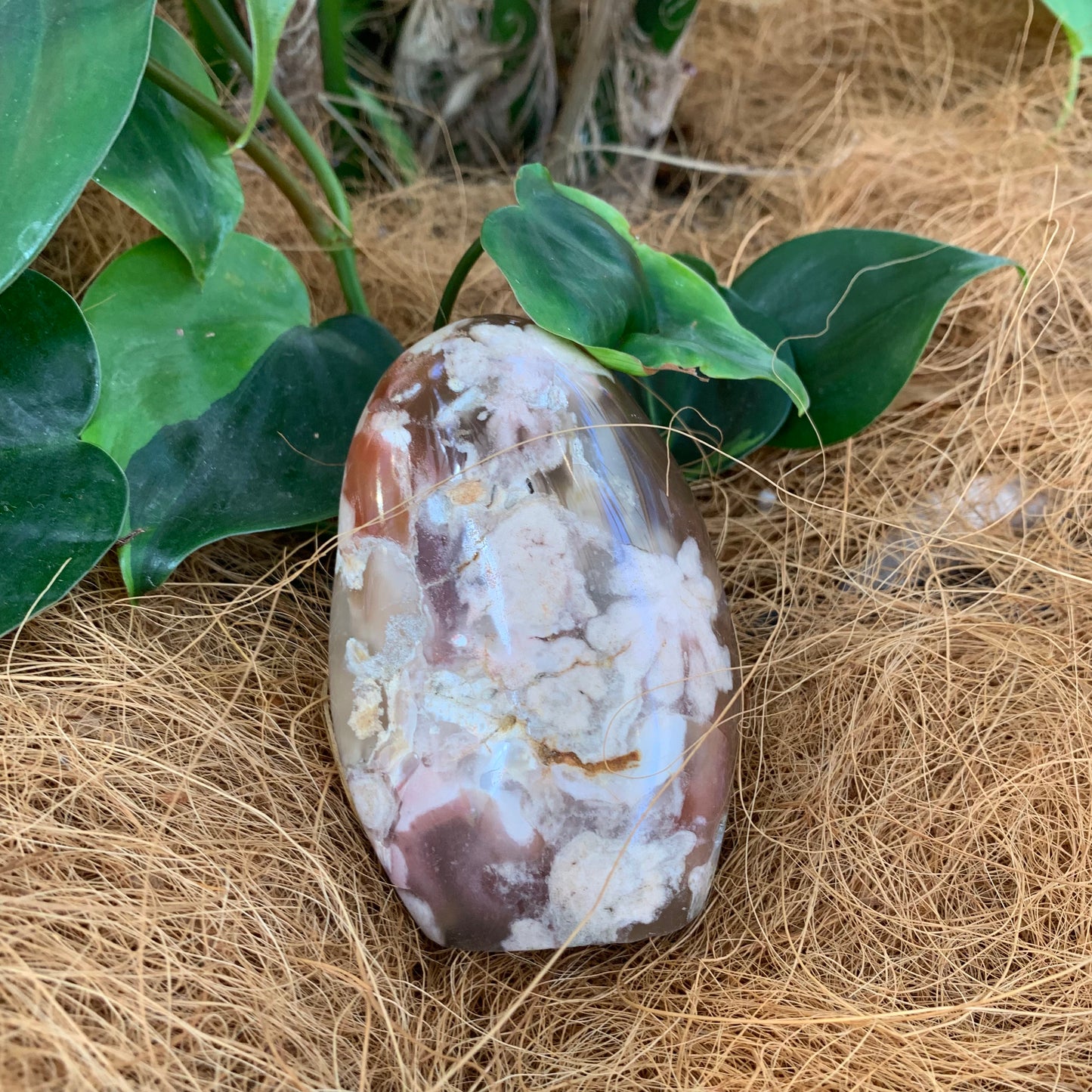 Flower Agate Freeform - Rivendell Shop